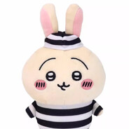 红枣枸杞温开水