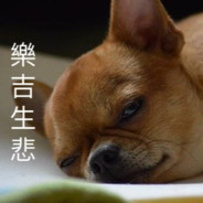 世界排行前石大玩家