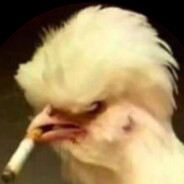 cubah avatar