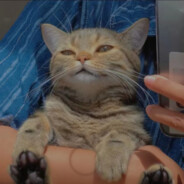 十八岁在B七进七出