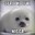 Seal the deal