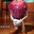 Coolguy17