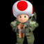 Master Toad