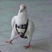 Big D. Pigeon