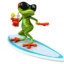 Surffrog