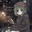 Loren Steam avatar