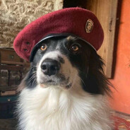 Special Officer Doofy