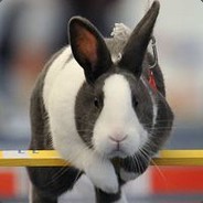 莫斯利安不好喝