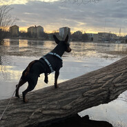 Kimbomatadori - steam id 76561198086996336