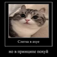 Котяу