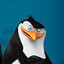 Krico de los pingüinos