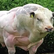 CHARAKETERNIE DOJEBANY cweloza11