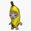 chimpanzini-bananini