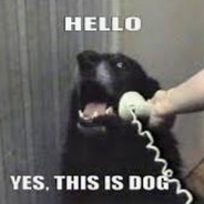 doguinho