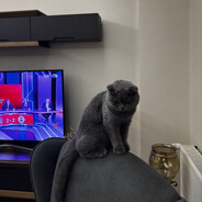 Ferrari Peek - steam id 76561198760780249