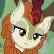 小马的事你不用太明白