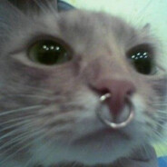 Hyr00l