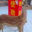 坤传奇