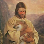 带手机高考速通