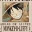 Luffy™