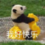 许凯soso猪