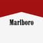 Marlboro