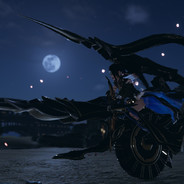 ✿千燈夜未央✿