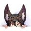 Kate-FoX