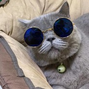 流浪的加菲猫℡