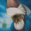 meow :3