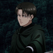 Levi