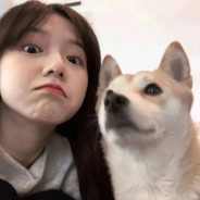 为伊消得人憔悴