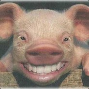 Sviiinet avatar