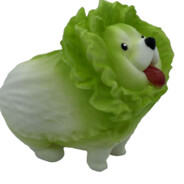 肚兜儿比脸盘子还大