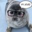 A seal who loves reading yuri