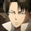 Levi