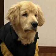 杀马特（已黑化）