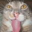 Rigby