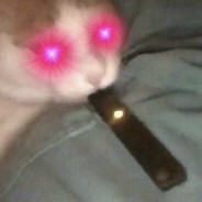 аллигатор))