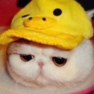 satham - steam id 76561198148681633