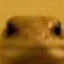 Bil