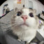 Filip_45