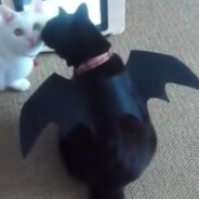 Pustkowie bez światła