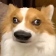 AAA.海鲜批发湘哥