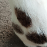 АРОМАТЫ ДЕРЬМА