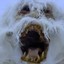 WAMPA_STOMPA