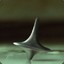 Archer_Blade