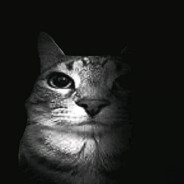xz