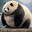 FATPANDA