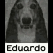 cheskangelicalousiana